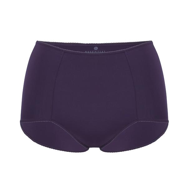 Marilyn Smoothing Brief Panty